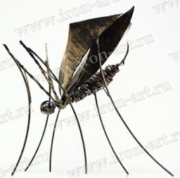 wasp 02