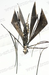 wasp 03
