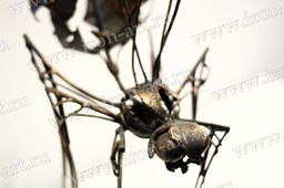 wasp 12